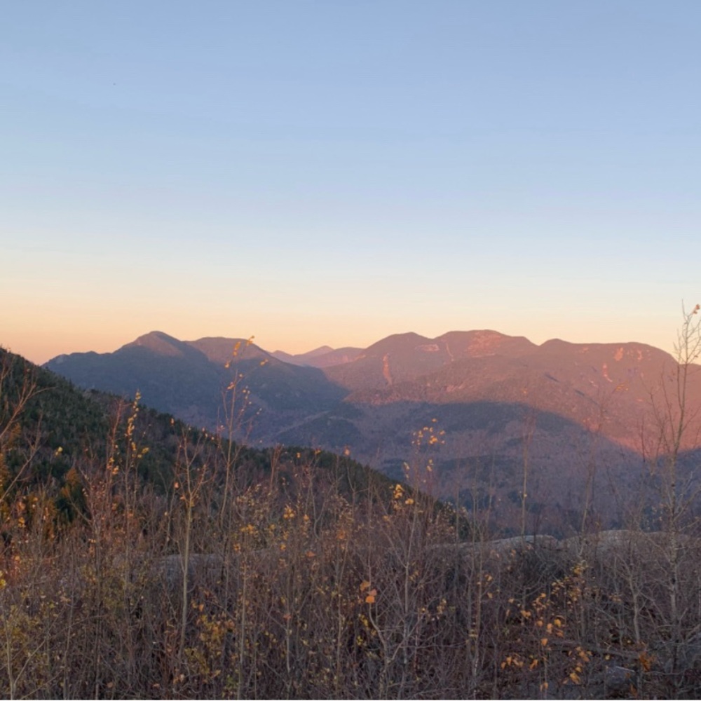 Meet your Posher Misty